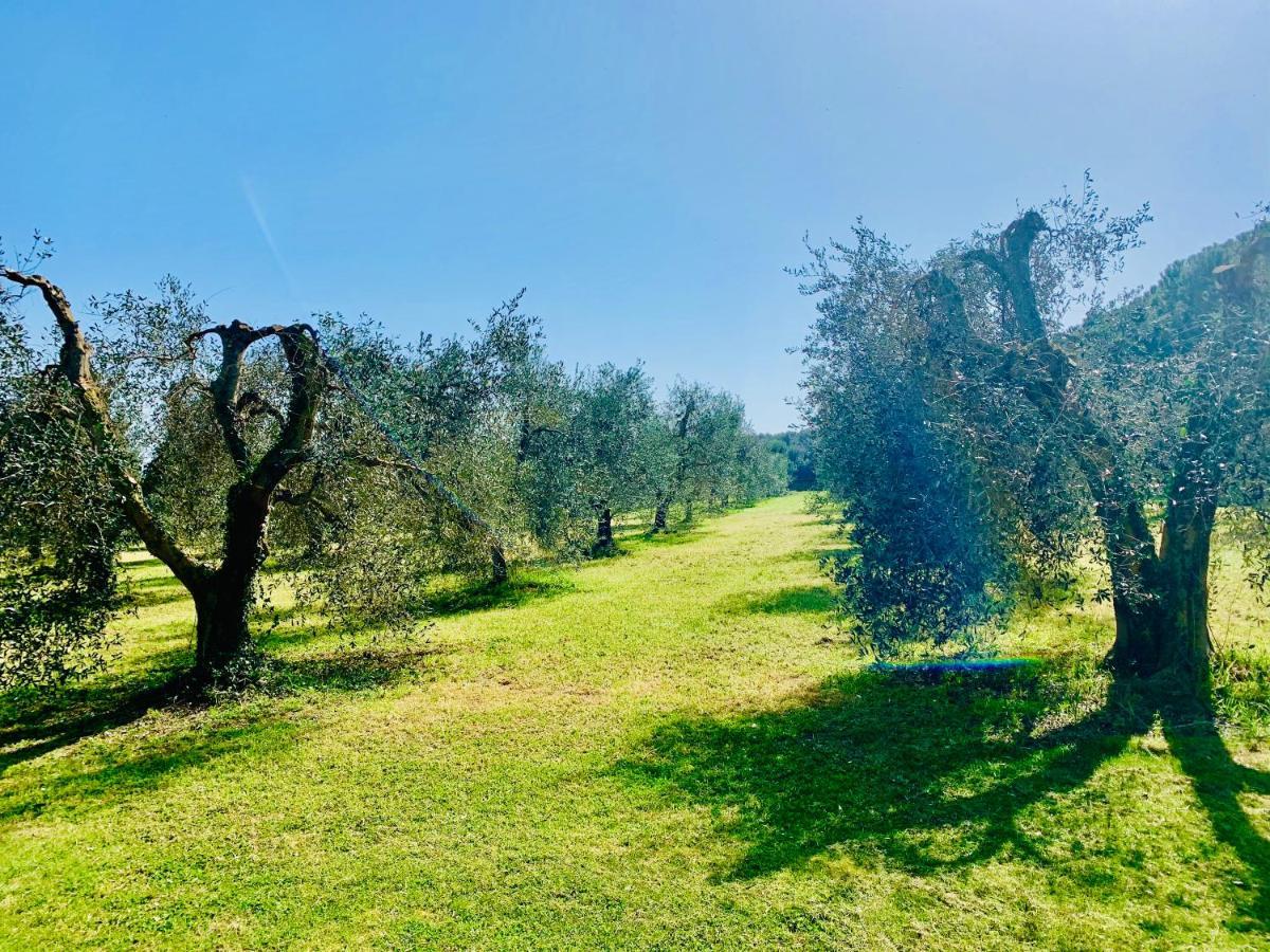 Il Borghetto Di Ansedonia Lägenhet Exteriör bild