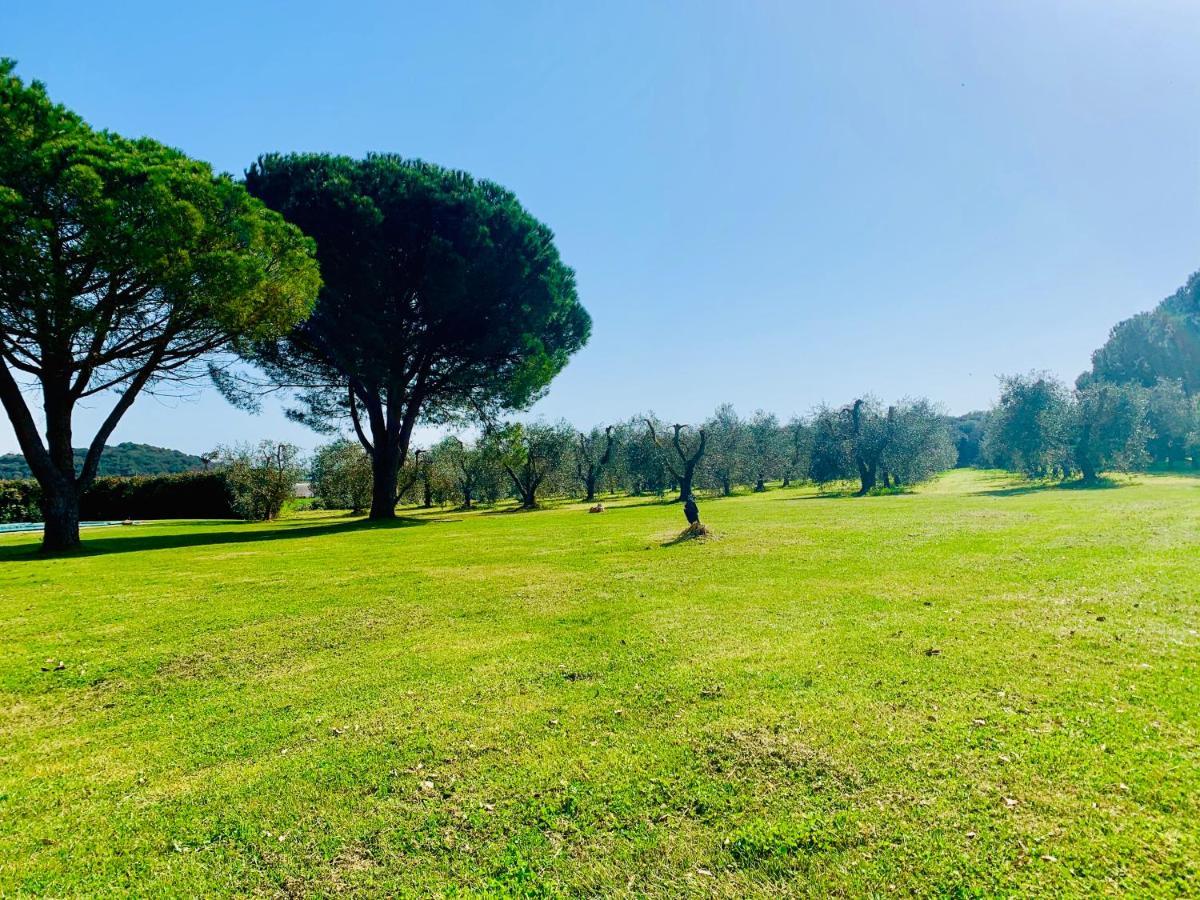 Il Borghetto Di Ansedonia Lägenhet Exteriör bild