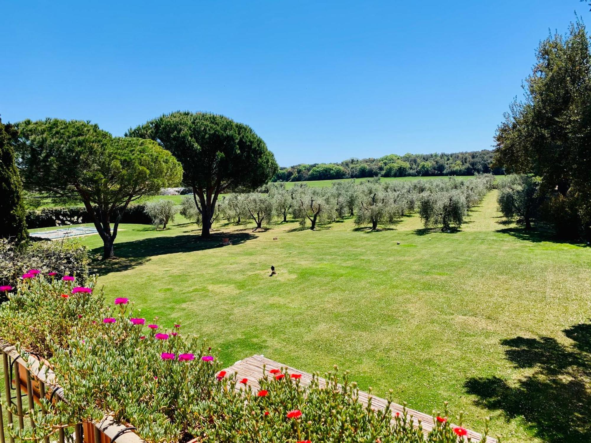 Il Borghetto Di Ansedonia Lägenhet Exteriör bild