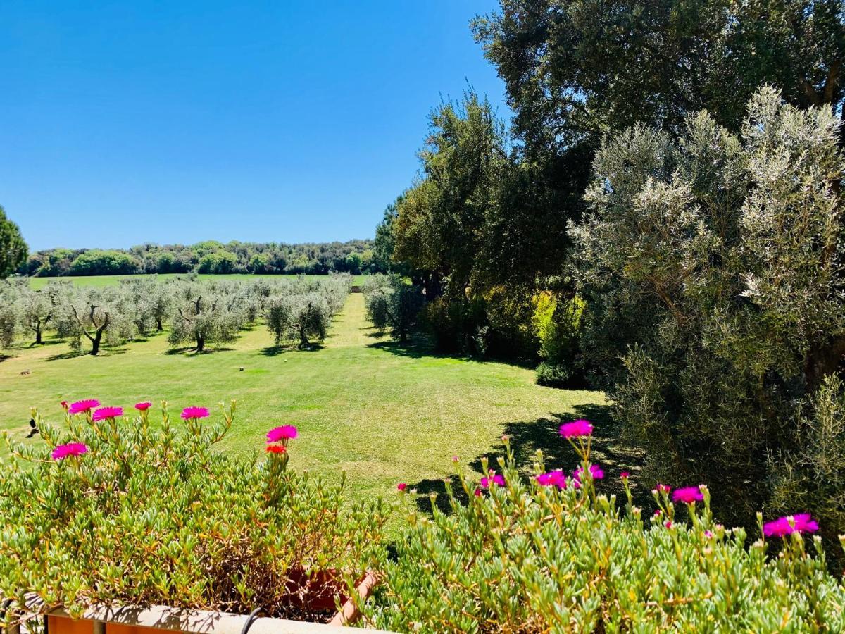 Il Borghetto Di Ansedonia Lägenhet Exteriör bild