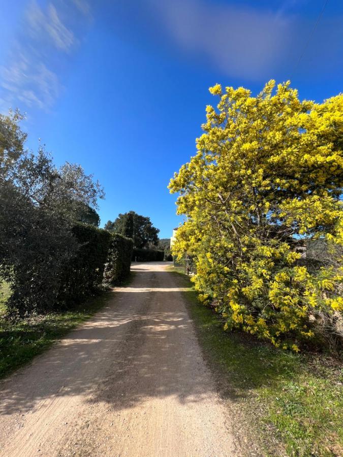 Il Borghetto Di Ansedonia Lägenhet Exteriör bild