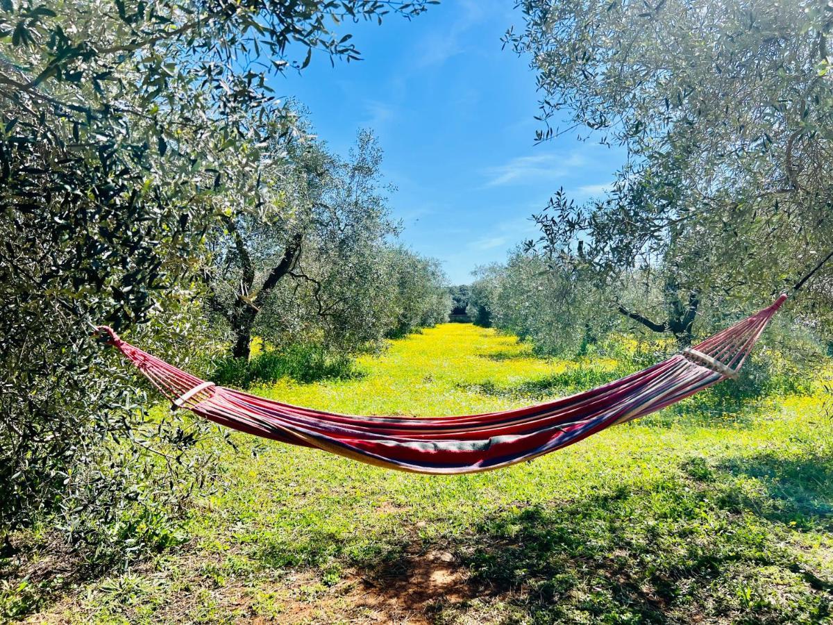 Il Borghetto Di Ansedonia Lägenhet Exteriör bild
